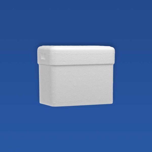 Caixa Térmica para Laboratório e Vacinas em EPS - (Isopor) - Isofort - Imagem 11