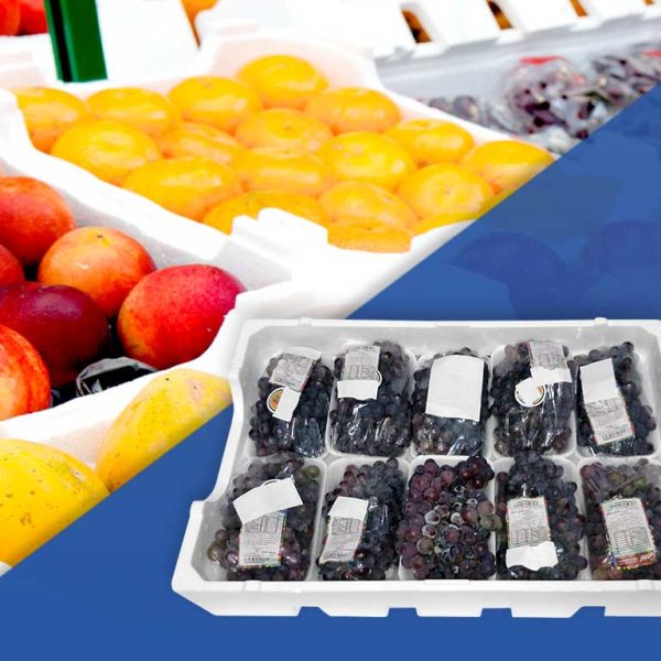 Agrobox - Caixa de Frutas em EPS - (Isopor) - Isofort - Imagem 7