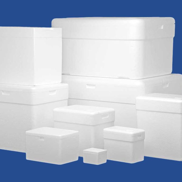 Caixa Térmica para Laboratório e Vacinas em EPS - (Isopor) - Isofort - Imagem 2