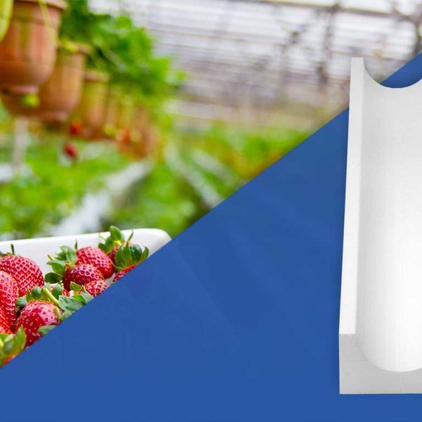 Canaletas para Morango em EPS - (Isopor) - Isofort