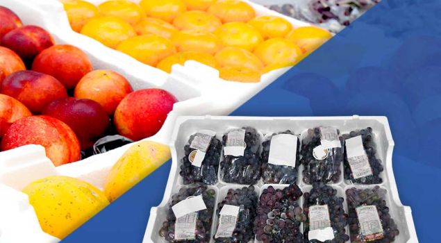 caixas-frutas-montagem